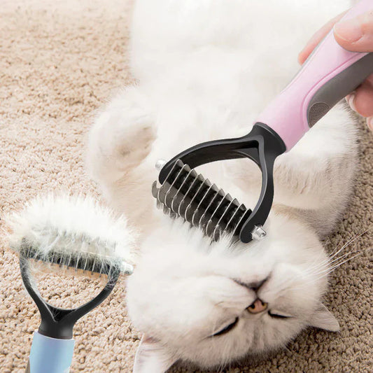 Perie: accesoriul ideal pentru animalul dumneavoastră de companie